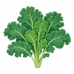 Grönkål