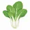 Pak choi
