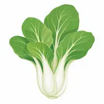 Pak choi
