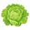 Sallad
