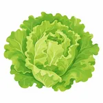 Sallad