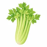Selleri