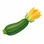 Zucchini